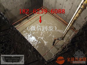 淺析仙桃市水下探測(cè)與建筑物清潔服務(wù)的成本優(yōu)勢(shì)