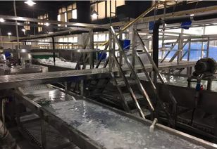洗碗機流水線設備與建筑物清潔服務 共促衛生標準升級